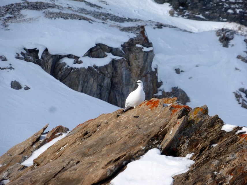 Snow conditions Tignes Fri 24 Jan 2020 - 10:24
